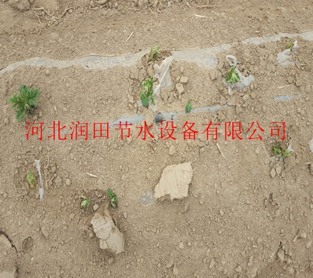 濮阳市南乐县大田专用PE滴灌带/膜下滴灌详细介绍