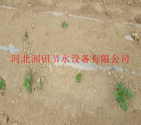 濮阳市台前县专业生产耐用滴灌管带/信誉保证