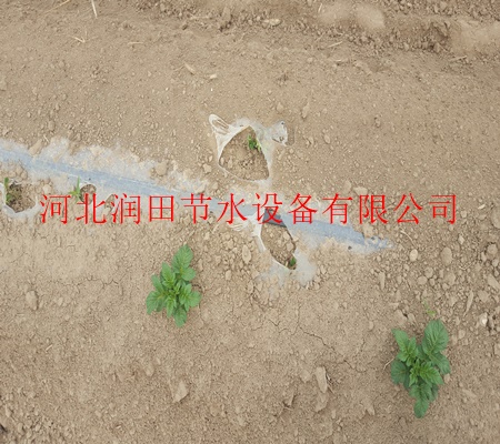 【大田滴灌】厂家/濮阳市台前县直销降温膜下滴灌