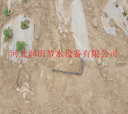濮阳市台前县棉花专用膜下滴灌/PE滴灌带放心省心