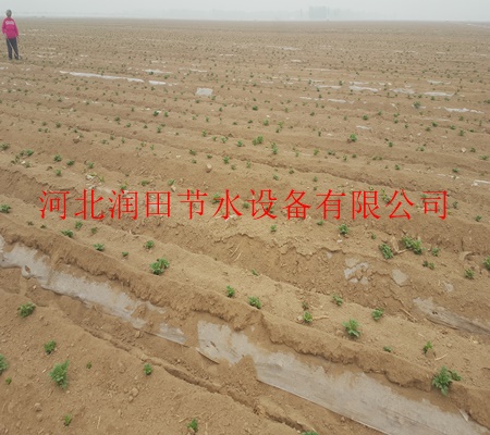 濮阳市台前县促销膜下滴灌|价格实惠|PE滴灌带