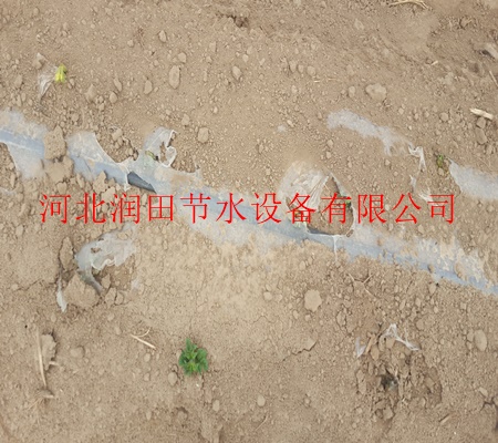 濮阳市清丰县生产膜下滴灌/滴灌厂家诚信经营