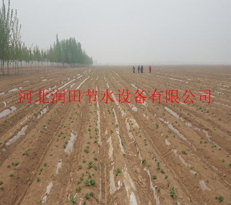 驻马店市促销膜下滴灌/生产原料滴灌管带