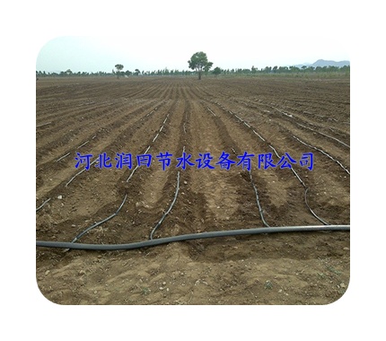农用农艺膜下滴灌/周口市滴灌厂家批发