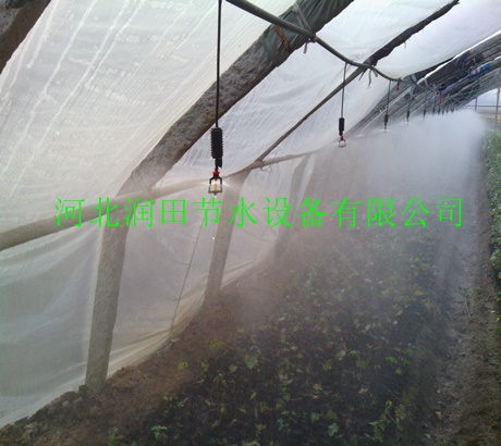 【荆门市花卉微喷头哪家好】价格_厂家