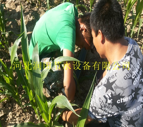 大田滴灌设备|南阳市滴灌带型号齐全