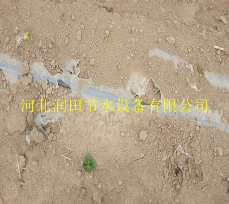 南阳市促销滴灌带|滴灌带带设备——节水灌溉