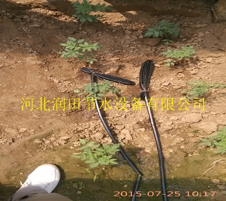 优质的滴灌带|南阳市大田滴灌专用