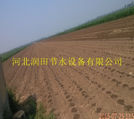 濮阳市大田蔬菜灌溉滴灌带|滴灌带厂家