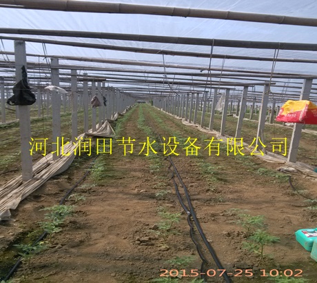 三门峡市大田滴灌带价格|质优贴片滴水带