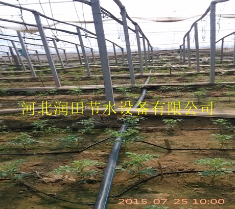 三门峡市滴灌带|滴灌带使用,农田灌溉软带