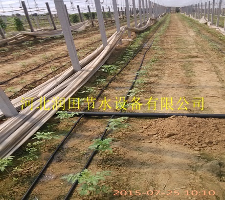 周口市商水县大田滴灌带|渗水带质量