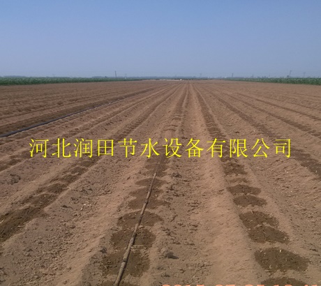 河南封丘县大田节水软带|优质滴灌带厂家直销