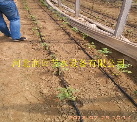 大名县 节水灌溉滴灌醒目河北润田|软带