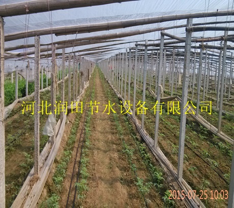 河北润田邢台新河县滴灌设备|软带