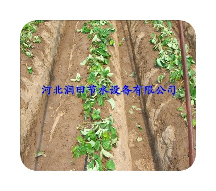 晋城市花卉专用节水滴水管|优质原料
