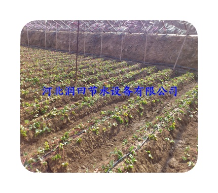 晋城市供应农用设备|双孔出水管|节省化肥农药