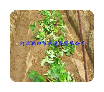 北京顺义区厂家供应大批优质滴水管 PE管