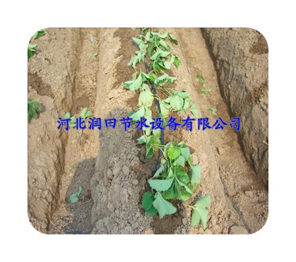 北京东城区农业滴灌节水设备 滴水管 pe管