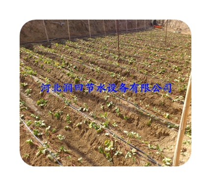 北京东城区【滴灌专用工具】厂家直销各种规格滴灌管件