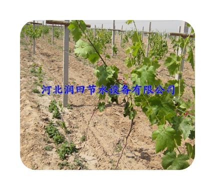 运城市稷山县批发零售双孔出水管|滴水管质量