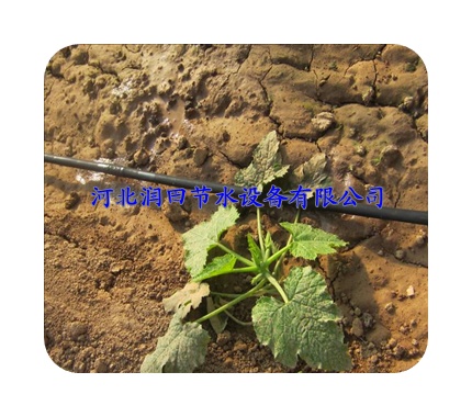 北京朝阳区厂家现货供应【可定制】节水灌溉滴水管