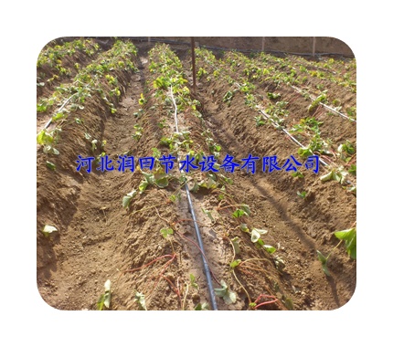 北京海淀区县专业滴水管优点|安装方式|使用方法