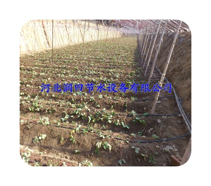 北京石景山区【农业灌溉16PE管】温室大棚果蔬滴灌专用管