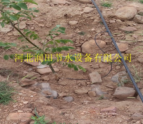 钦州市浦北县果树灌溉设备_果树滴灌毛管价格