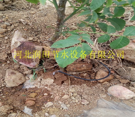 河北润田节水许坚固村 节水滴灌项目|果树滴灌毛管