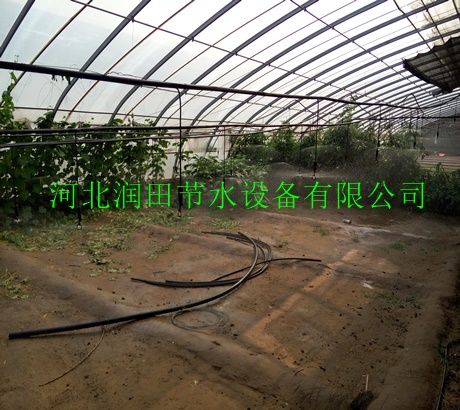山西省吊悬喷头||大棚微喷系列-大棚微喷