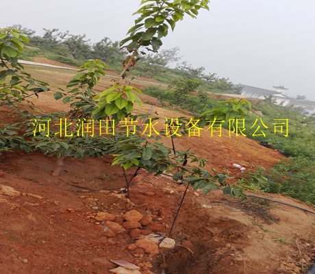 广元市小管出流专用排灌机械- 节水灌溉