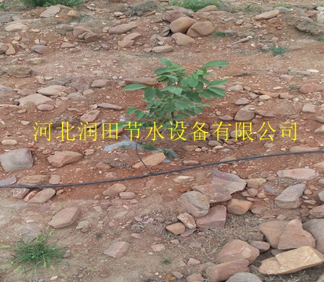 南充市果树小管出流|果树滴灌管生产厂家质量