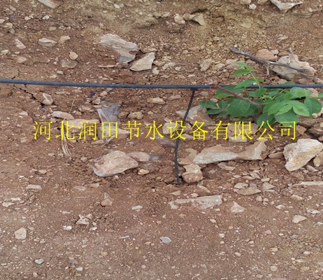 广元市武侯区小管出流哪家好?果树滴灌管批发更多咨询