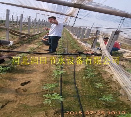 呼伦贝尔市大量供应滴灌带|扁平滴灌带价格