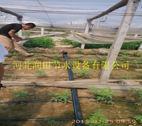 大棚滴灌专用内镶滴灌带|鄂尔多斯市微滴带价格