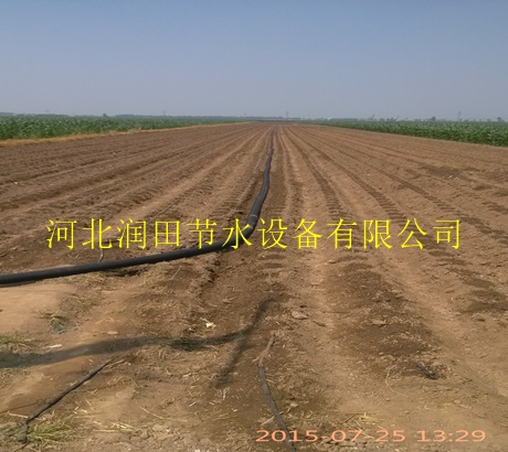 鄂尔多斯市供应内镶滴灌带大棚增产 品