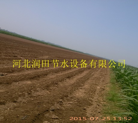 鄂尔多斯市西瓜灌溉内镶滴灌带|微滴带灌溉优势