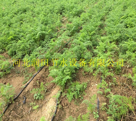 供应各种型号滴灌带|巴彦淖尔市内镶滴灌带节水设备