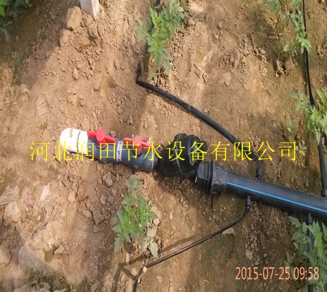 网上销售微滴带|鄂尔多斯市扁平滴灌带量大从优