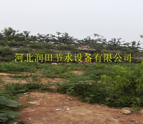 金昌市永昌县防堵性较强果树滴水管|果树滴灌PE管型号