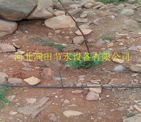 大棚滴灌专用果树滴灌技术|白银市白银区紊流器价格