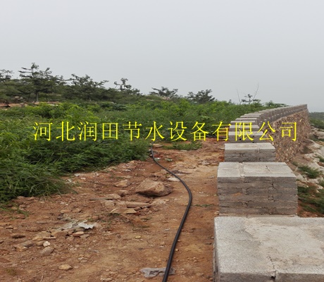 果树专用小管出流|武威市热季 紊流器