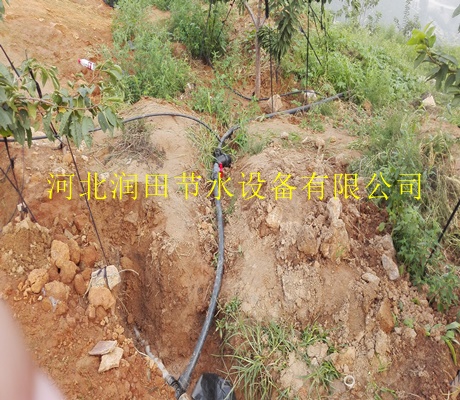 现货批发各种小管出流|武威市农业苗木紊流器
