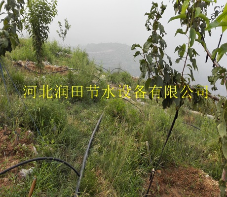 武威市果树滴水管灌溉技术|小管出流型号