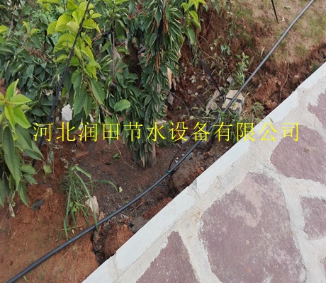 供应各种型号小管出流|酒泉市果树滴灌技术节水设备