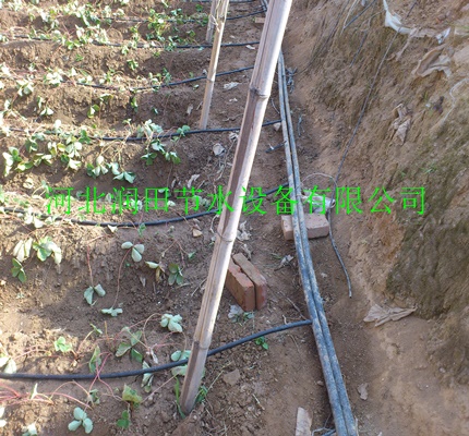 铜川市宜君县滴水毛管系列|农业大棚滴灌厂家设备