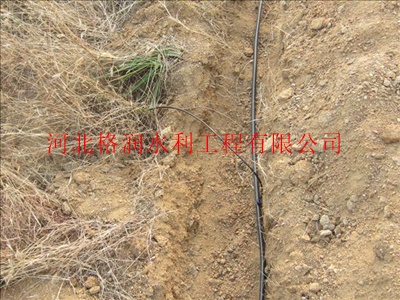 重庆秀山果树小管出流 施肥罐 水肥一体化设备