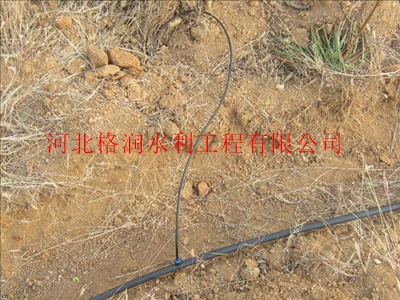 【重庆九龙坡区小管出流 稳流器】价格