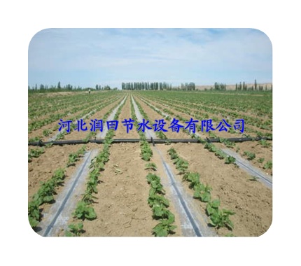 河北保定市大田农作物膜下滴灌技术介绍 大田节水滴灌资讯